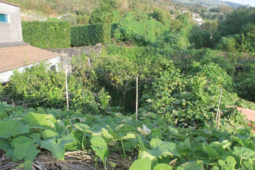 Quinta Do Areeiro Appartement Horta  Buitenkant foto